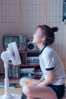 完美复仇